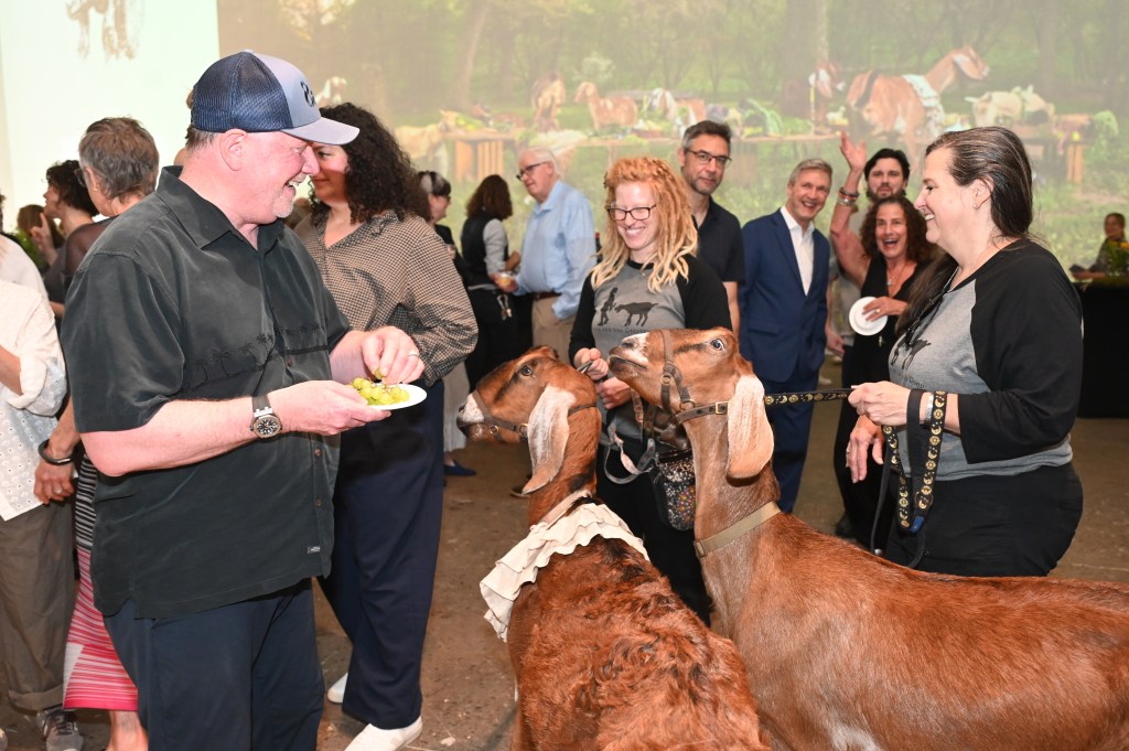 Goats, Cocktails and Contemporary Art: InLiquid's